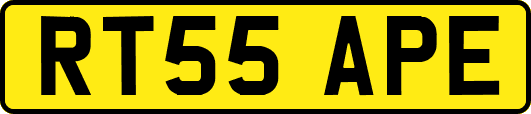 RT55APE