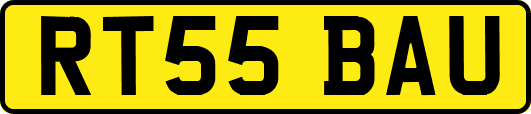 RT55BAU