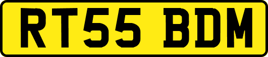 RT55BDM