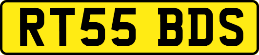 RT55BDS