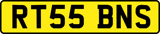 RT55BNS