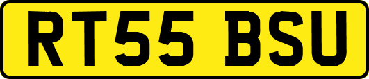 RT55BSU