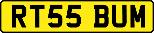 RT55BUM