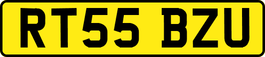 RT55BZU