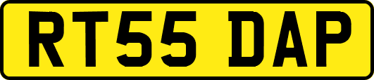 RT55DAP