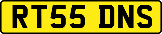 RT55DNS