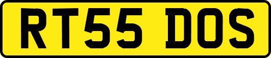 RT55DOS