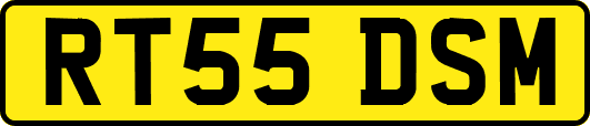 RT55DSM