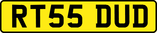 RT55DUD