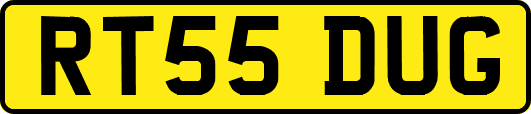 RT55DUG