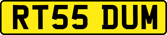 RT55DUM