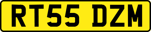 RT55DZM