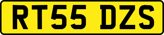 RT55DZS