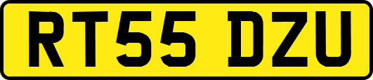 RT55DZU