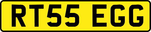 RT55EGG