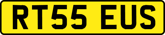 RT55EUS