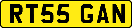 RT55GAN