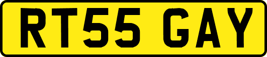 RT55GAY