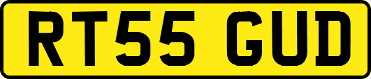RT55GUD