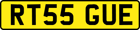 RT55GUE