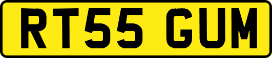 RT55GUM