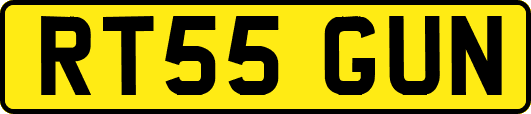 RT55GUN