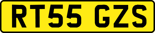 RT55GZS