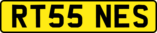 RT55NES