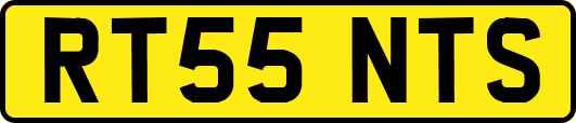 RT55NTS