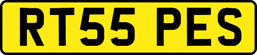 RT55PES