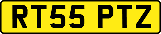RT55PTZ