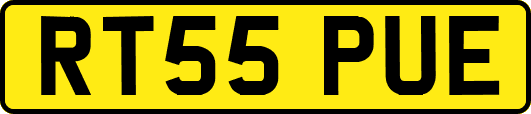 RT55PUE
