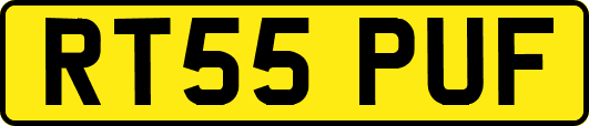 RT55PUF