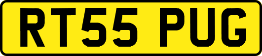 RT55PUG