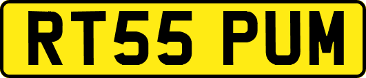 RT55PUM