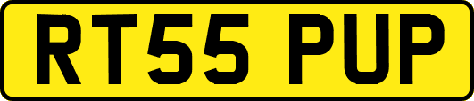 RT55PUP