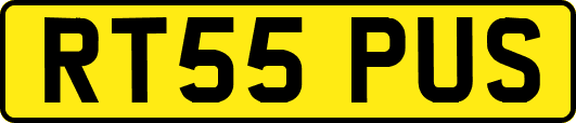 RT55PUS