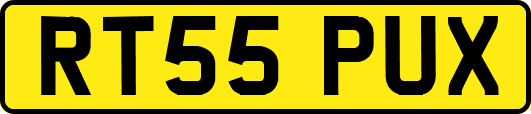 RT55PUX