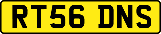 RT56DNS