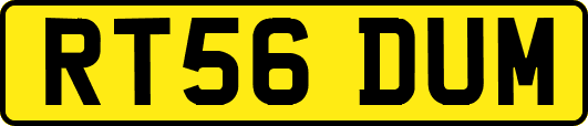 RT56DUM