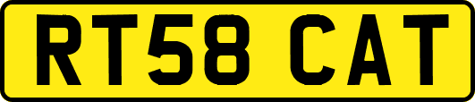 RT58CAT
