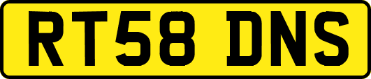 RT58DNS