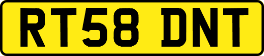 RT58DNT