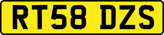 RT58DZS