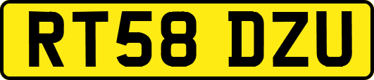 RT58DZU