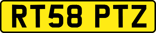 RT58PTZ