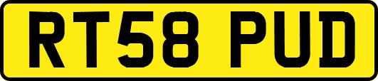 RT58PUD