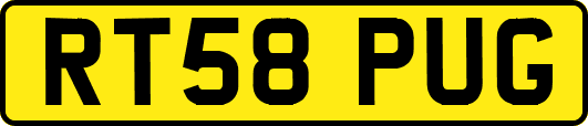 RT58PUG