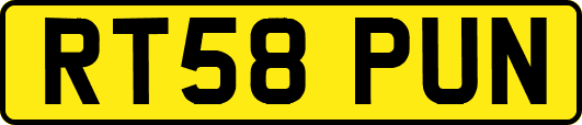 RT58PUN