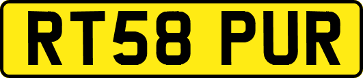 RT58PUR